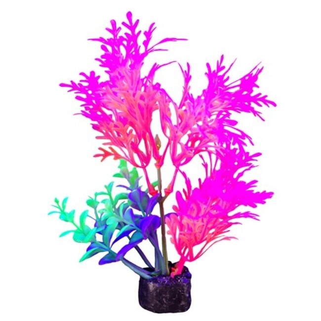 Marina iGlo Plant - 5.5" - Pink