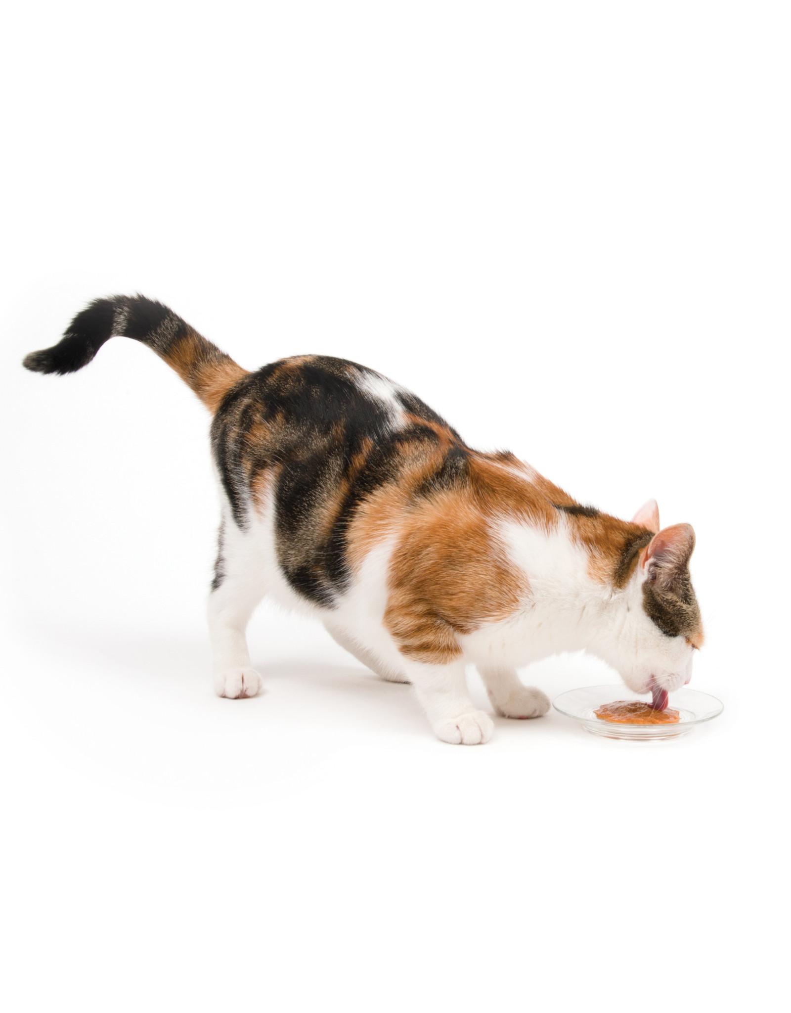 CatIt Creamy Lickable Cat Treat Tuna 12 Pack