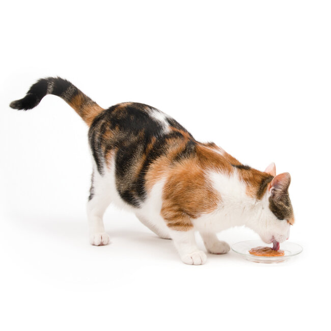 Creamy Lickable Cat Treat Tuna 5 Pack