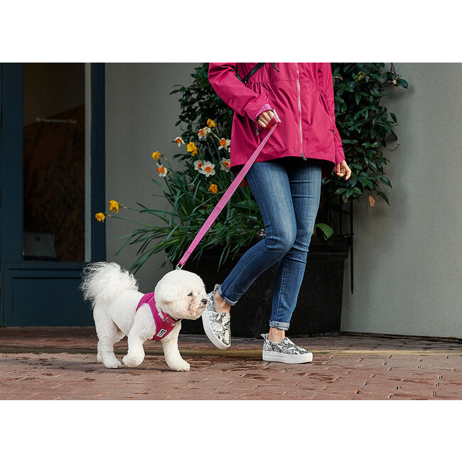 Step In Cirque Harness