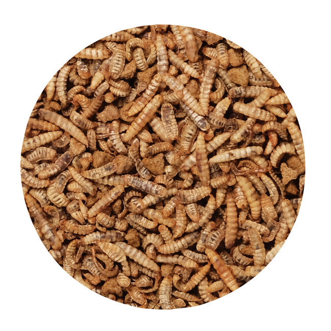 Green Gourmet Toppers - Insects - 125 g (4.4 oz)