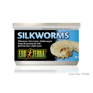 Exo Terra Exo Terra Silkworms (Pupea) - 34 g (1.2 oz)