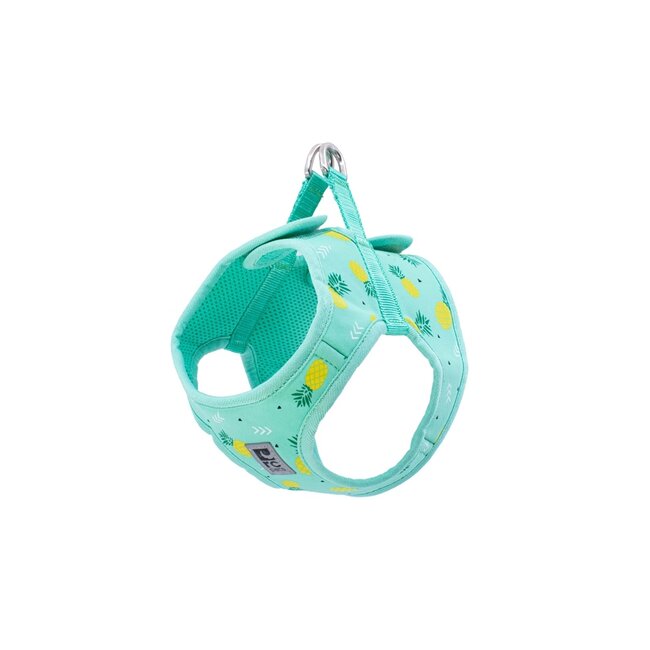 Step In Cirque Harness