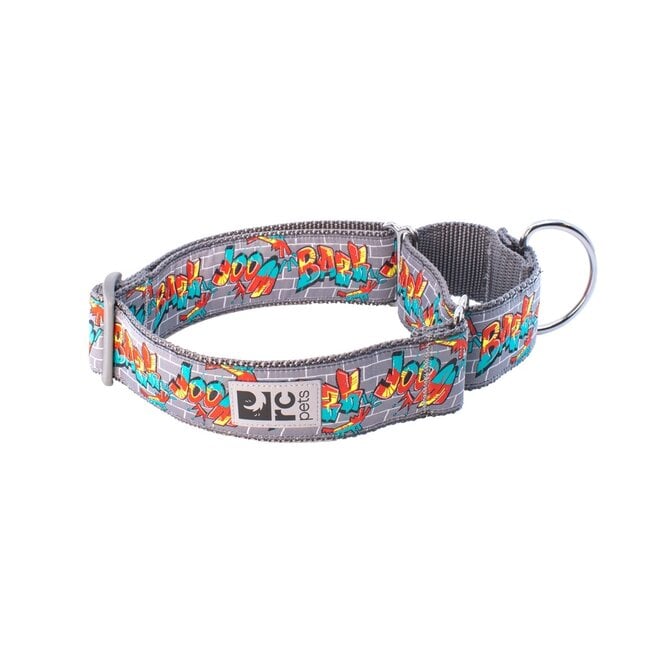All Webbing Training Collar