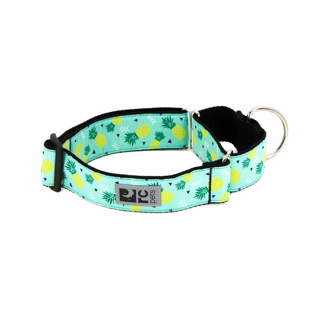 All Webbing Training Collar