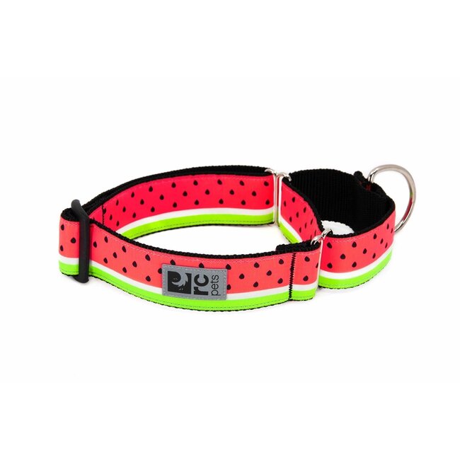 All Webbing Training Collar