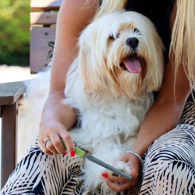 Coastal Safari Dog Nail File