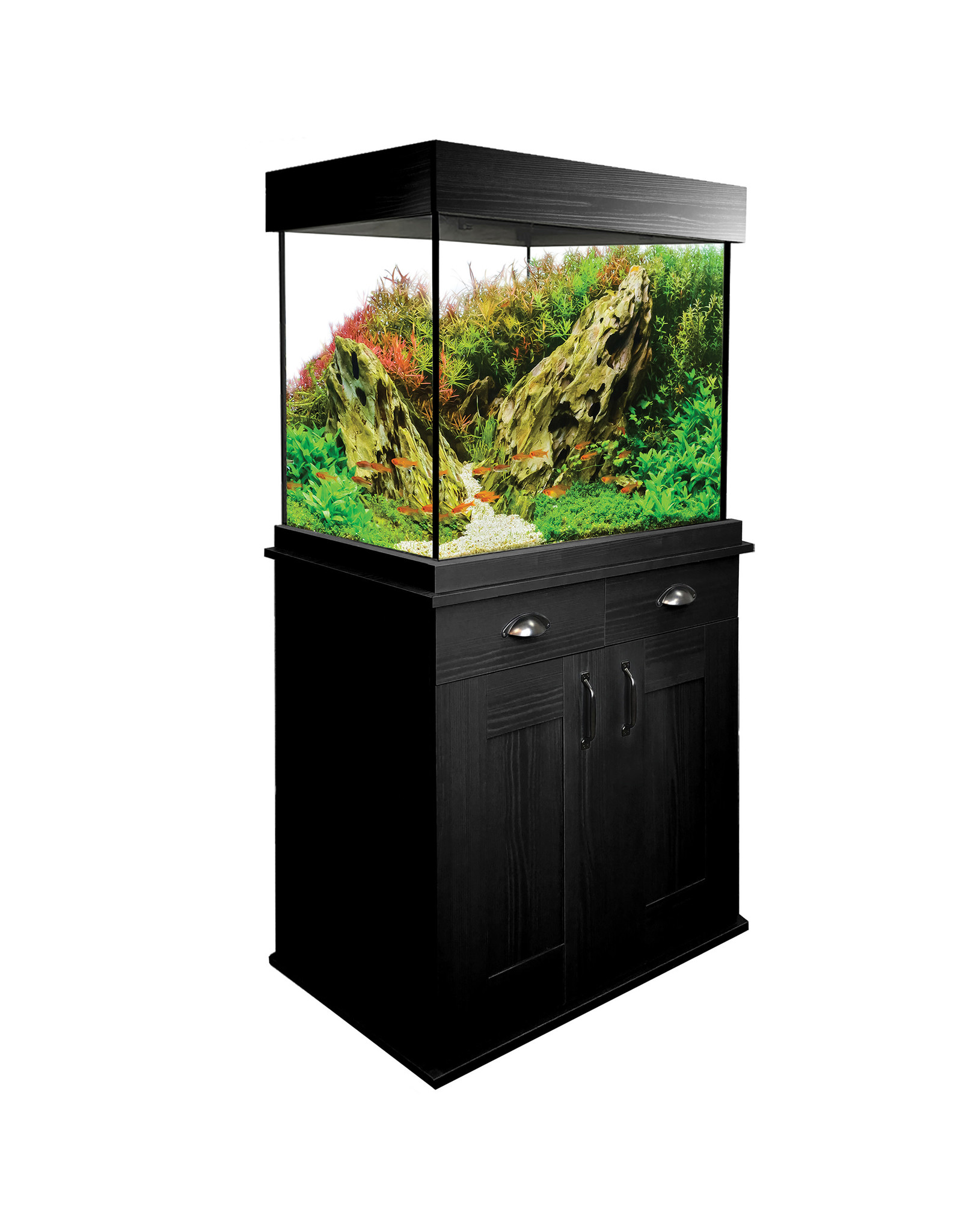 oak aquarium
