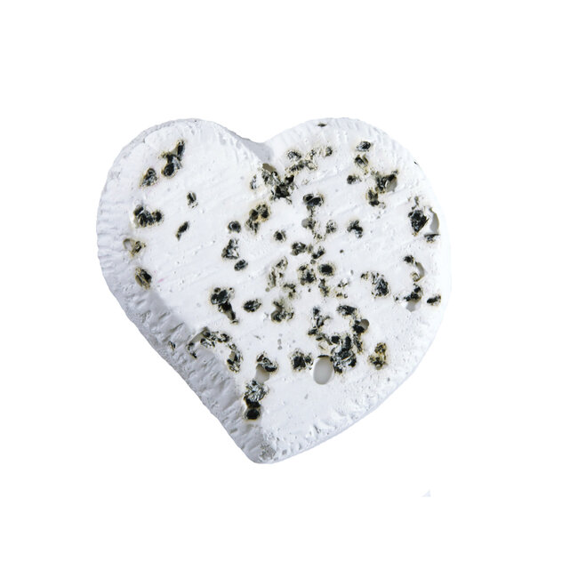 HARI Mineral Block for Small Birds Black Cumin Seeds 35g 2 pack