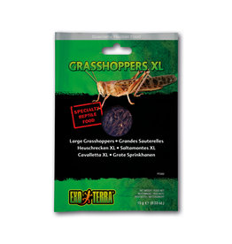 Exo Terra Exo Terra Reptile Food Grasshoppers XL 15g