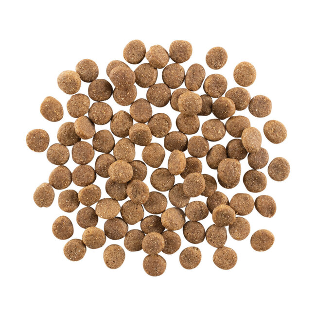 Go! Solutions Skin + Coat Care Salmon Recipe