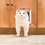 Petsafe 2 Way Cat Door White