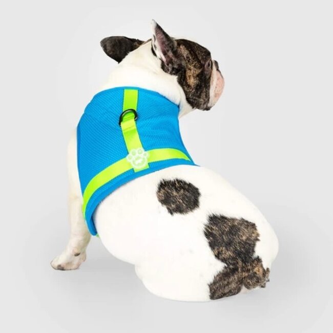 Chill Seeker Cooling Harness Blue
