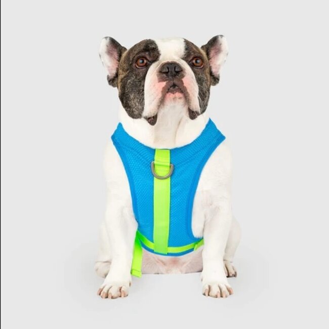 Chill Seeker Cooling Harness Blue