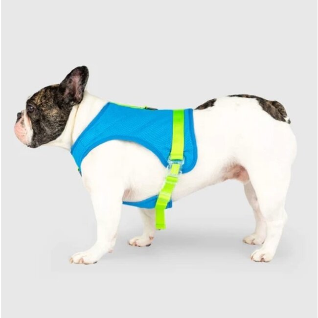 Chill Seeker Cooling Harness Blue