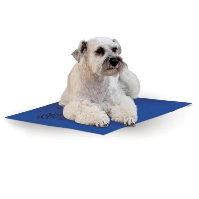 K&H Coolin' Pet Pad Blue (Cooling Mat)