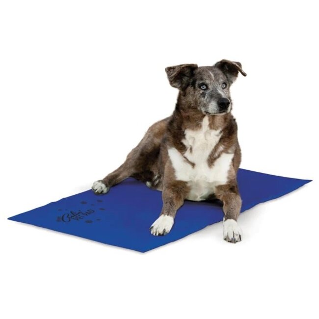 K&H Coolin' Pet Pad Blue (Cooling Mat)