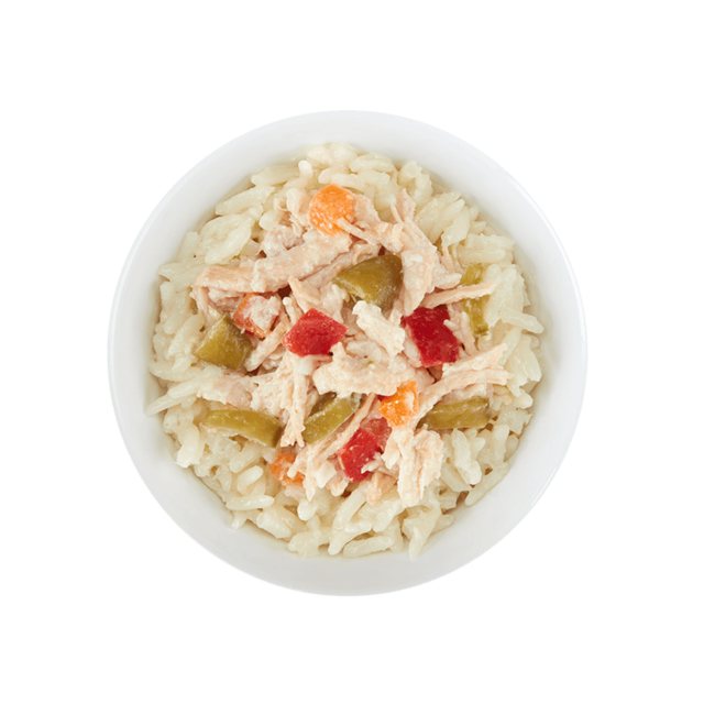 Tiki Dog Petites Taste of the World Asian Chicken Stir Fry Wet Dog Food 3oz