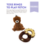 Ringamals Honey Bear Plush Puzzle Dog Toy