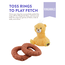 Ringamals Bear Plush Puzzle Dog Toy