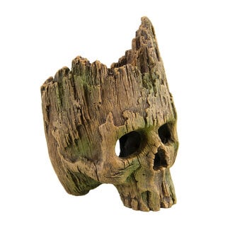 Underwater Treasures Wooden Skull