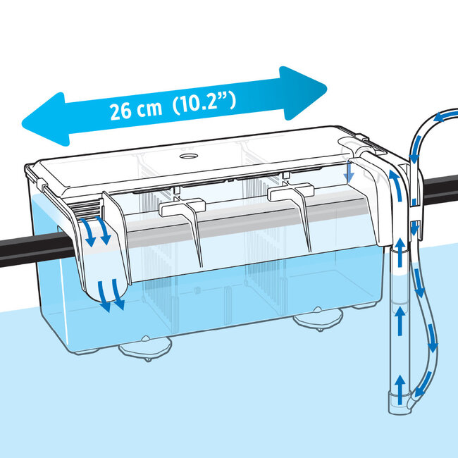 Fluval Multi-Chamber Holding & Breeding Box - 26x14x12cm (10.25inLx5.5inWx4.75inH)