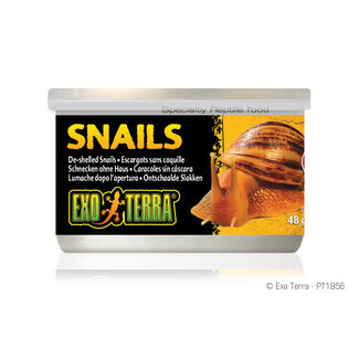 Exo Terra Canned Snails (House free) 48g