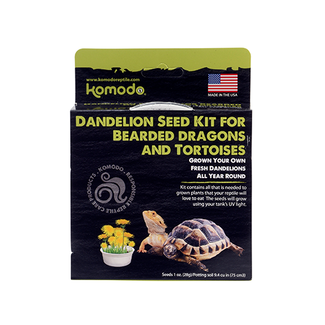Komodo Grow Your Own Dandelion Kit for Bearded Dragons & Tortoises