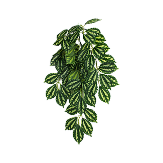 Komodo Two-Tone Leaf Climbing Plant Small 16"