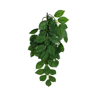 Komodo Green Leaf Climbing Plant Small 16"