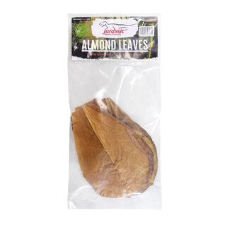 Jurassic Reptile Products Almond Leaves - Medium