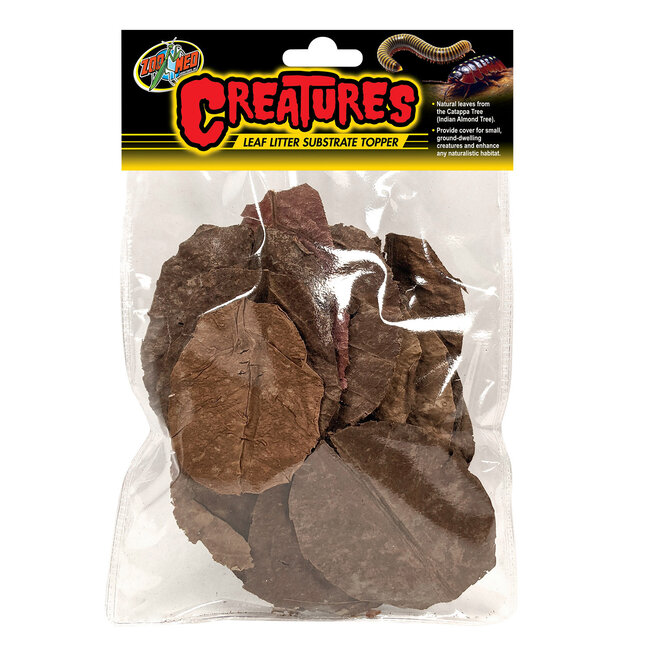 Leaf Litter Substrate Topper - Catappa (Almond) Leaves