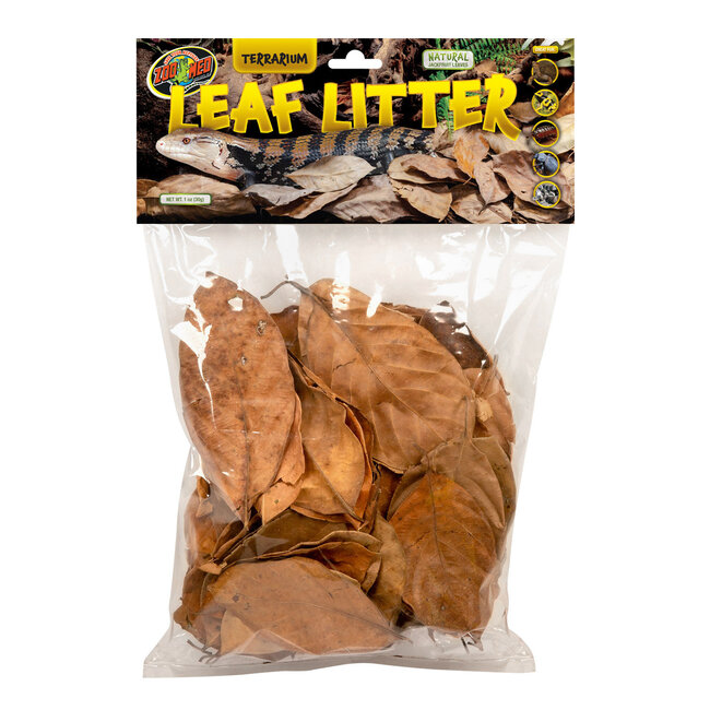 Terrarium Leaf Litter - Jackfruit Leaves