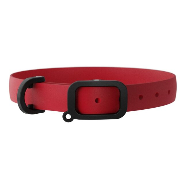 Nuvuq Waterproof & Lightweight Dog Collar