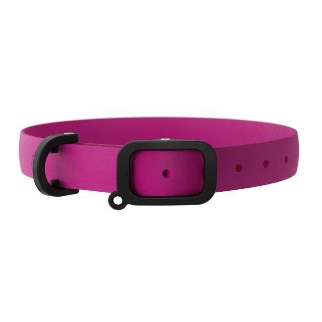 Nuvuq Waterproof & Lightweight Dog Collar