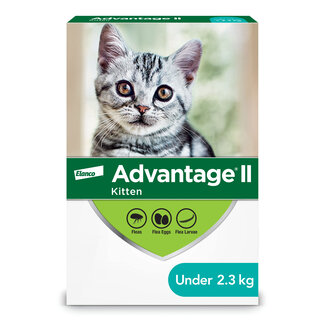 Elanco Advantage II - Kitten under 2.3kg