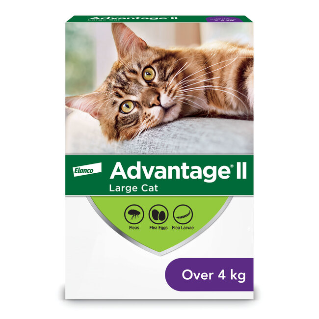 Advantage II - over 4kg