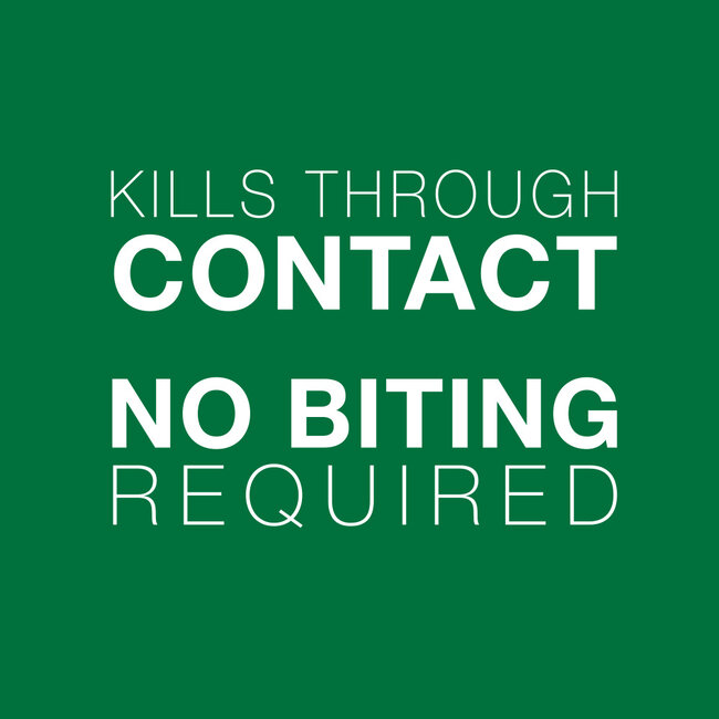 Advantage II - over 4kg