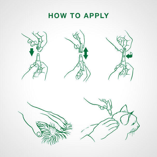 Advantage II - over 4kg