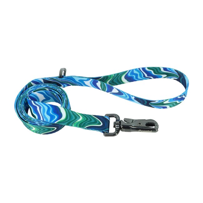 Inspire Fashion Dog Leash