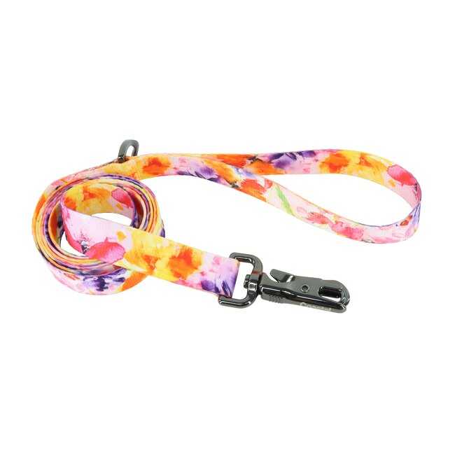 Inspire Fashion Dog Leash
