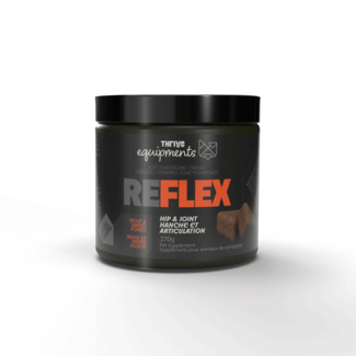 Big Country Raw Thrive Chews FLEX Hip & Joint Soft Chews NN.A507 Big Country Raw Thrive Chews FLEX Hip & Joint Soft Chews NN.A507