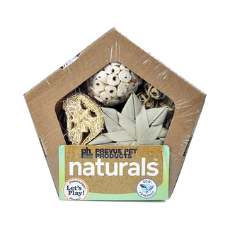 Prevue Hendrix PH Naturals Pentagon Forage N Play Box Small