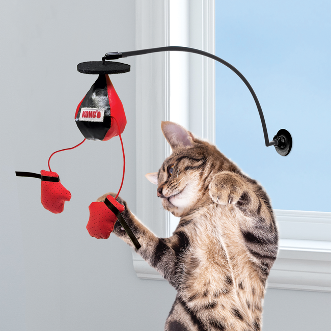 Kong Connects Window Boxing Cat Toy
