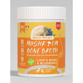 Charmy Charmy Mushroom Bone Broth Lion's Mane & Blueberry 70g