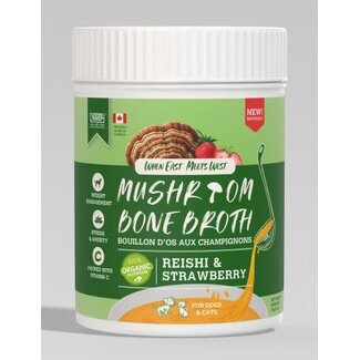 Charmy Charmy Mushroom Bone Broth Reishi & Strawberry 70g