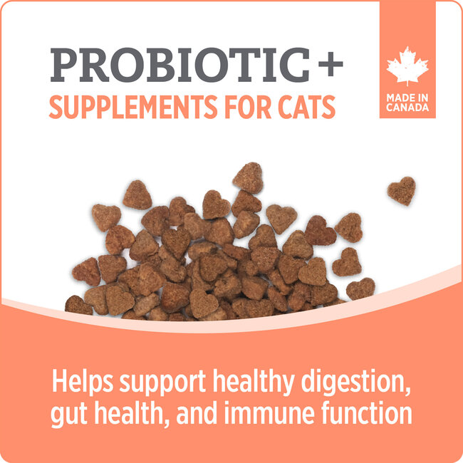 Nutrience Care Supplement for Cats Probiotic+ 180g