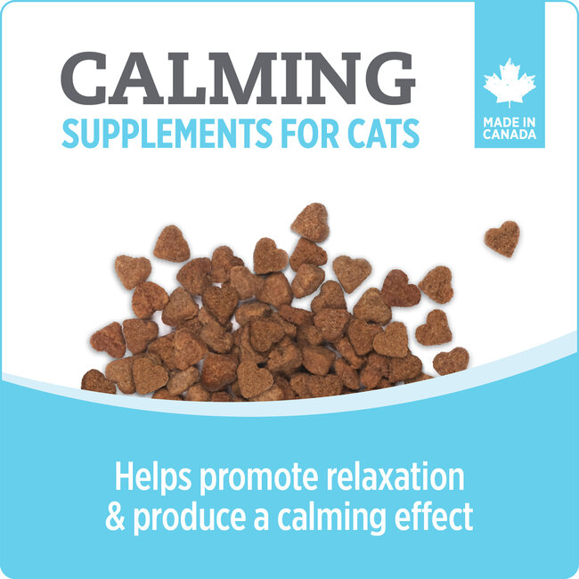 Nutrience Care Supplement for Cats Calming 180g