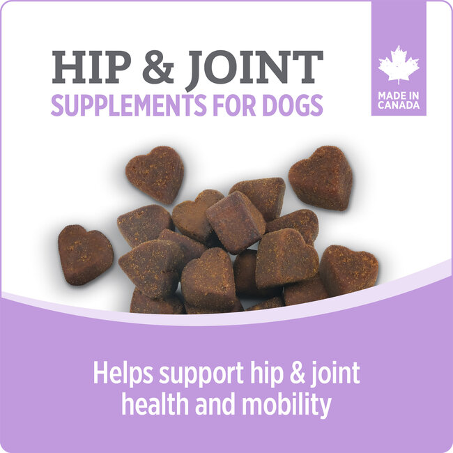 Nutrience Care Supplement for Dogs Hip & Joint 100 soft chews 400g