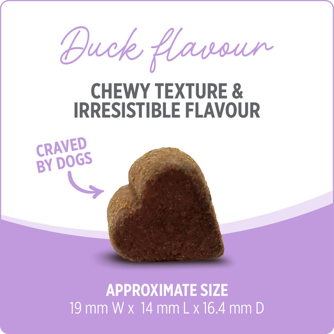 Nutrience Care Supplement for Dogs Hip & Joint 100 soft chews 400g